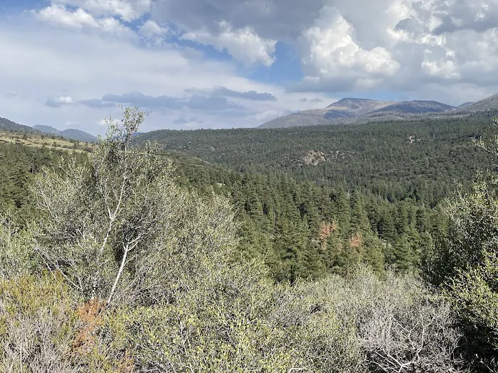 Camp Sky Meadows Picture 7