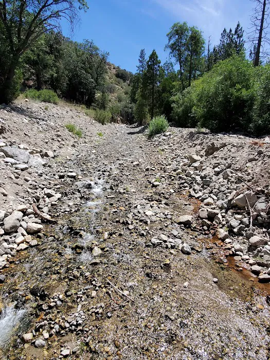 Camp Sky Meadows Picture 8