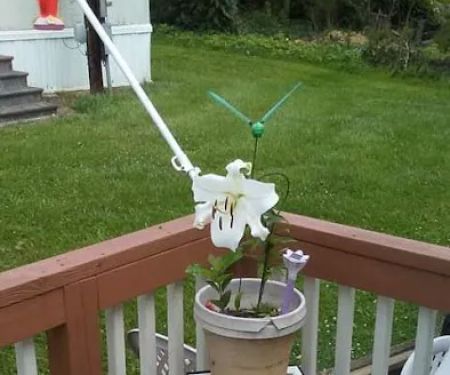 Locust Gardens MHC LLC