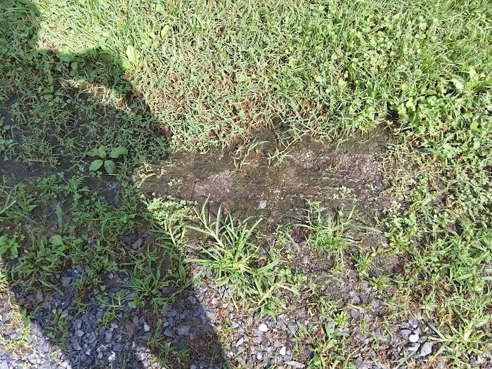 Locust Gardens MHC LLC Picture 8