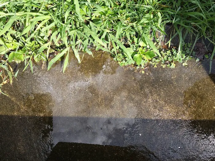 Locust Gardens MHC LLC Picture 6
