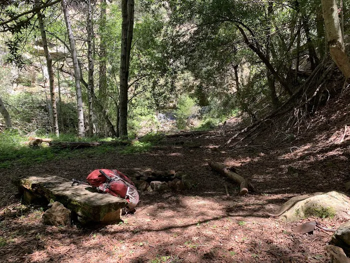 Lower Bear Camp Picture 3