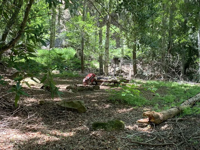 Lower Bear Camp Picture 1