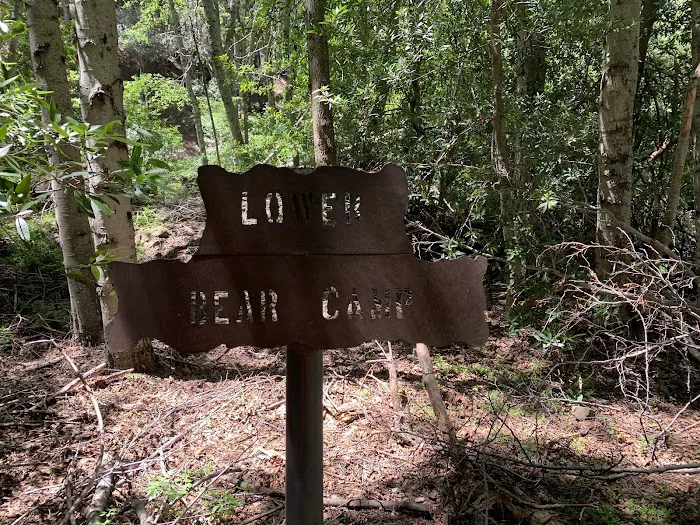 Lower Bear Camp Picture 2