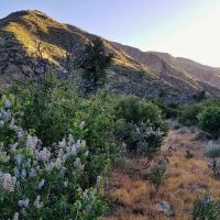Heath Campground ico