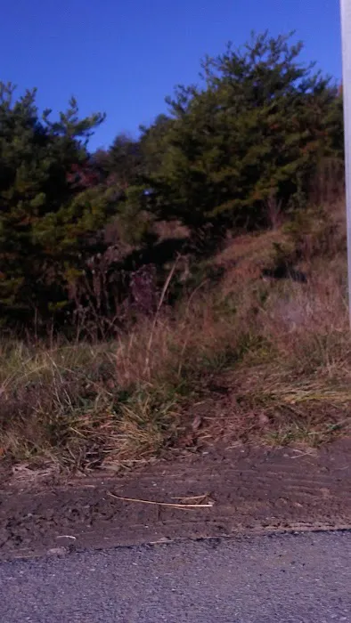 Suburban Trailer Town Inc Picture 2