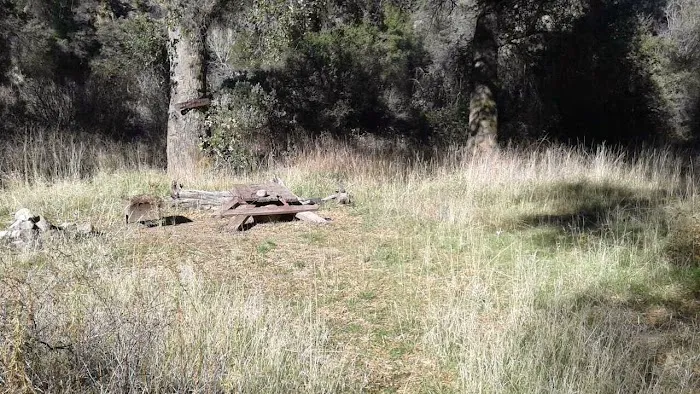 Lower Buckhorn Camp Picture 1