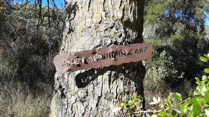 Lower Buckhorn Camp Picture 2