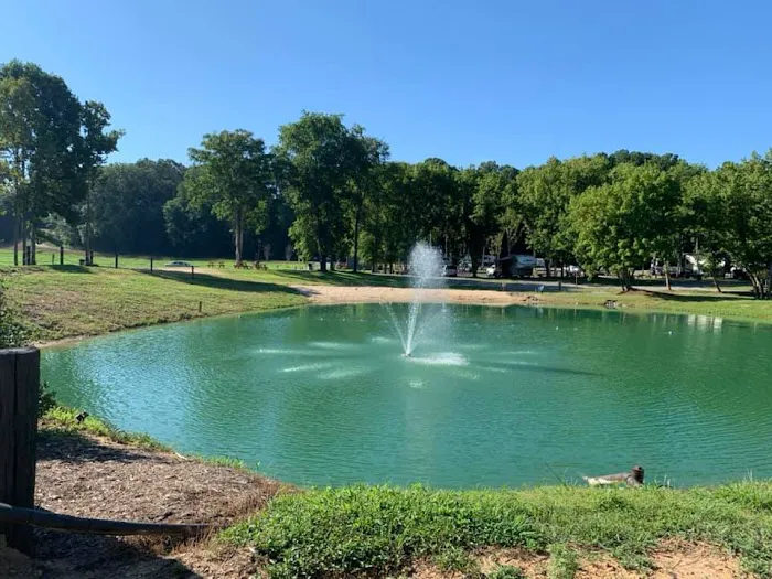 Riverwalk RV Park on the Yadkin River Picture 6