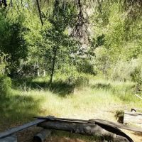 Cottonwood Camp ico