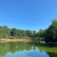 Blake Farms Family RV Resort ico