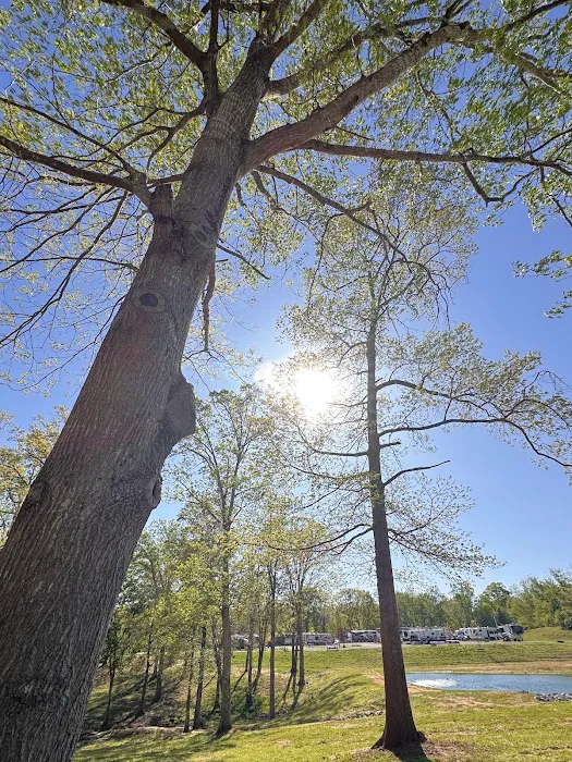 Blake Farms Family RV Resort Picture 6