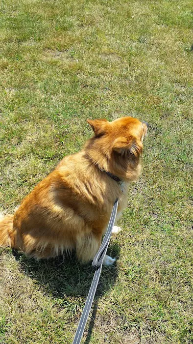 Matika Mobile Home Park Picture 3