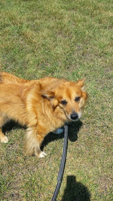 Matika Mobile Home Park Picture 2