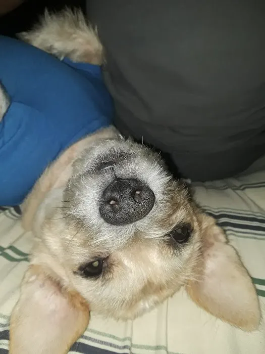 Matika Mobile Home Park Picture 1