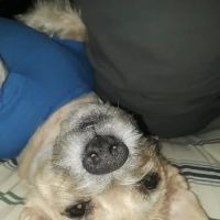 Matika Mobile Home Park ico