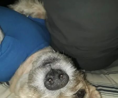 Matika Mobile Home Park