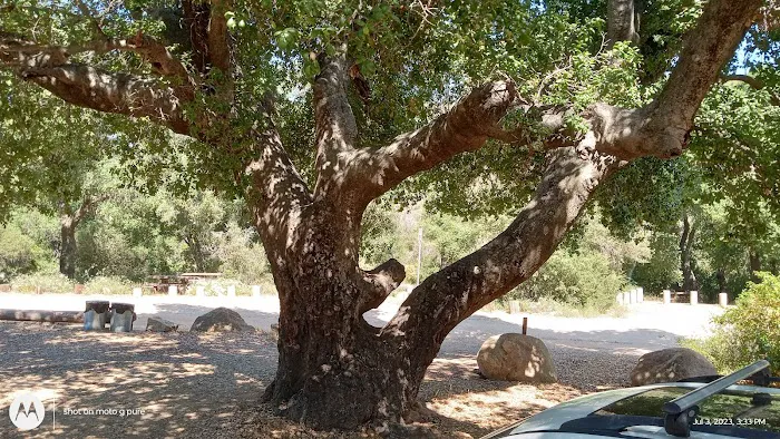 Wildomar Campground Picture 2