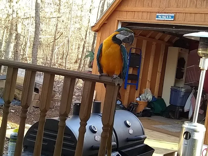 Mohawk RV- Troutman Picture 9