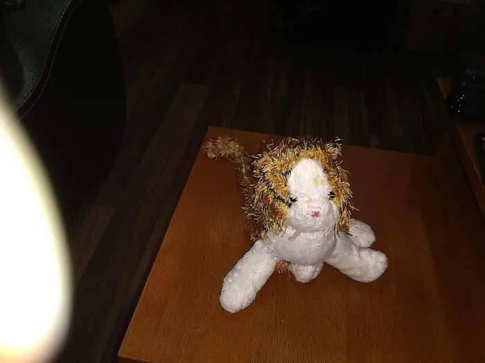 Mohawk RV- Troutman Picture 2