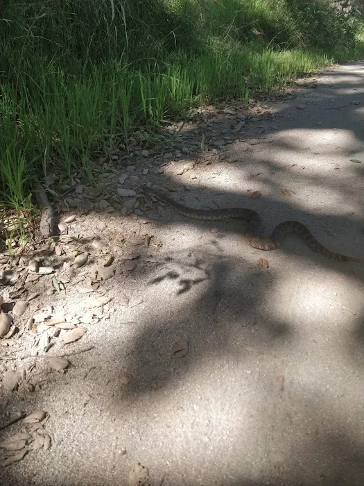 El Cariso Campground Picture 7