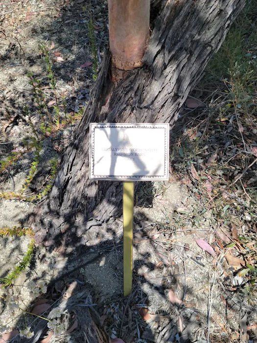 Usda Forest Services Picture 2