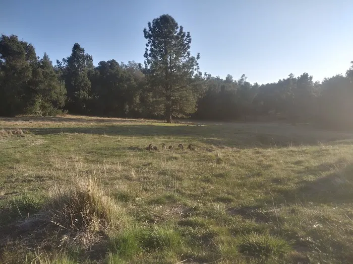 Blue Jay Campground Picture 5