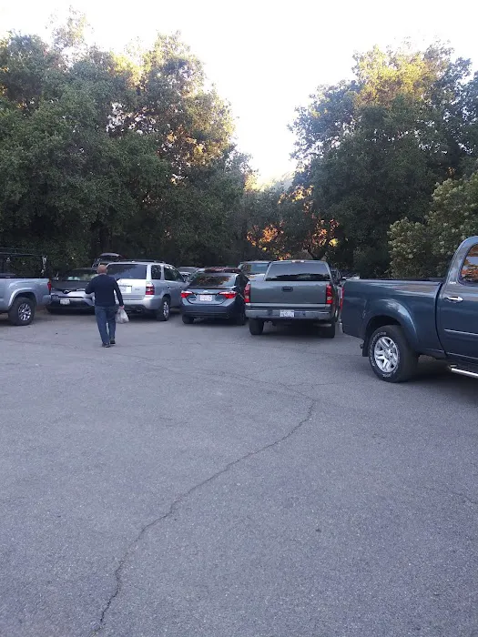 Falcon Group Campground Picture 3