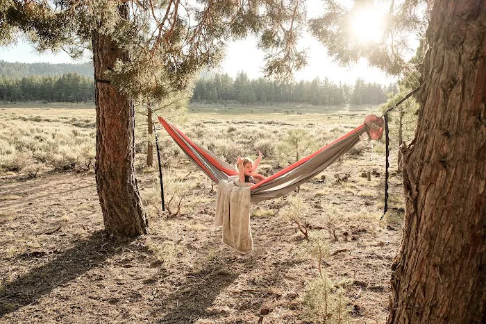 Holcomb Valley Ranch Picture 6