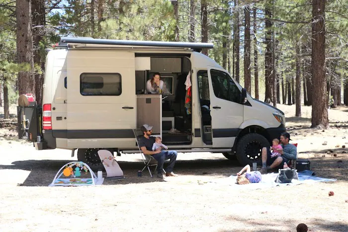 Holcomb Valley Ranch Picture 4