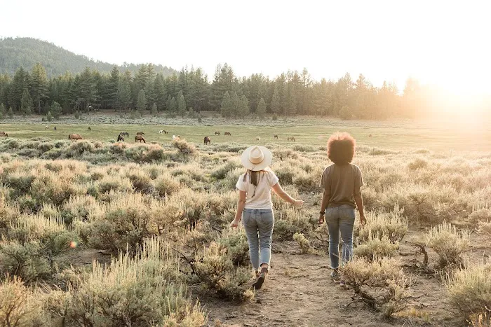 Holcomb Valley Ranch Picture 3