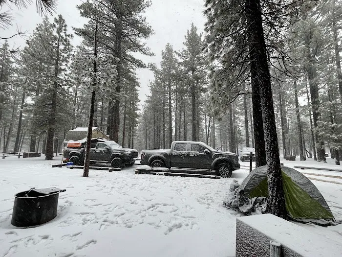 Holcomb Valley Campground Picture 6