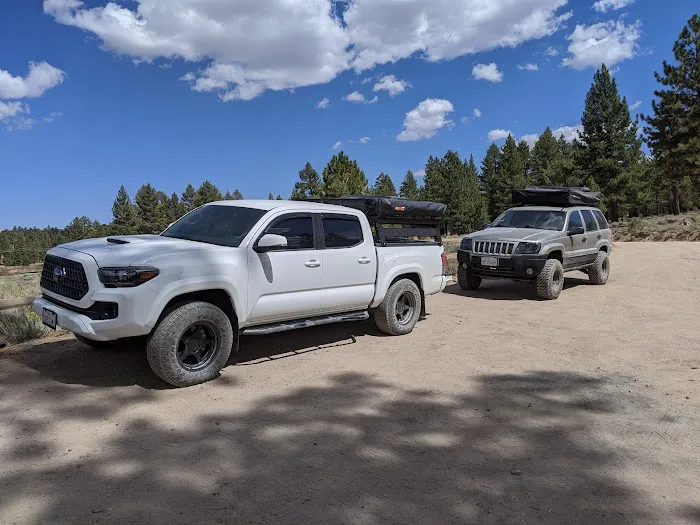 Holcomb Valley Campground Picture 7