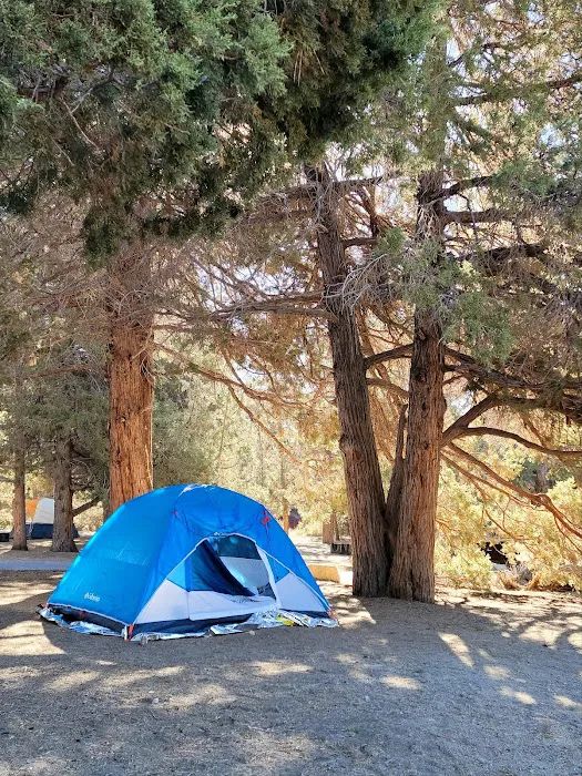 Serrano Campground Picture 4