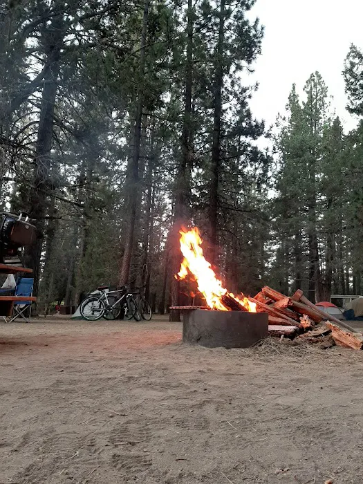 Serrano Campground Picture 5