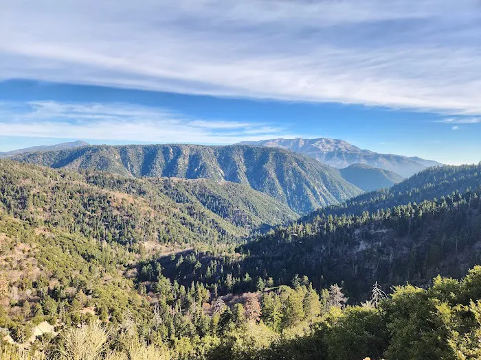 San Bernardino National Forest Serrano Campground Picture 6
