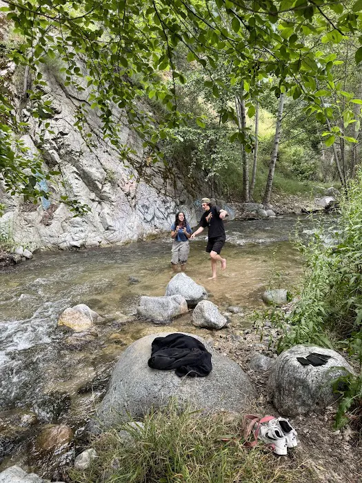 San Bernardino National Forest Serrano Campground Picture 8