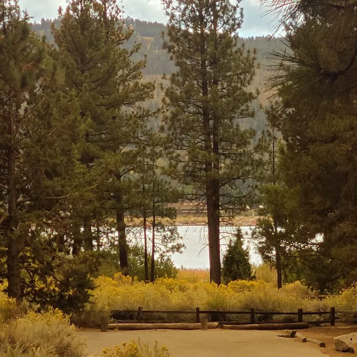 San Bernardino National Forest Serrano Campground Picture 5