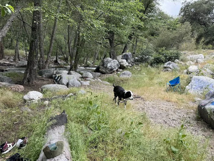 San Bernardino National Forest Serrano Campground Picture 10