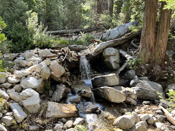 Dobb's Camp Picture 10