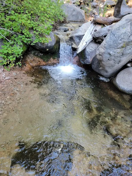 Dobb's Camp Picture 2