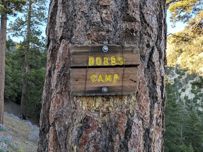 Dobb's Camp Picture 3