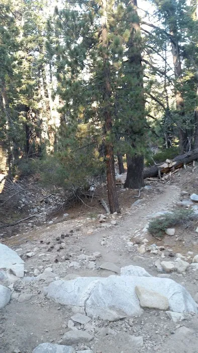 Vivian Creek Camp Picture 4