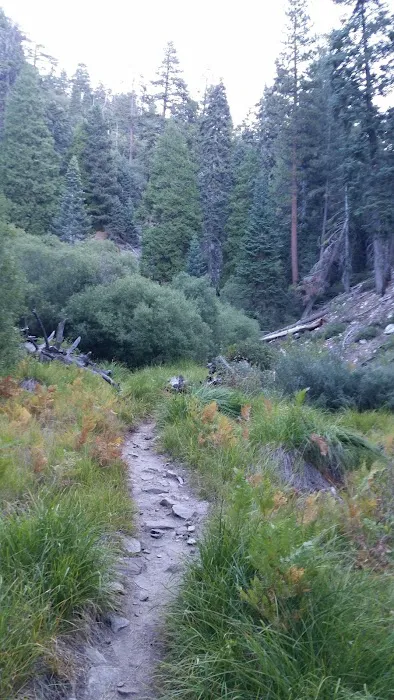 Vivian Creek Camp Picture 2