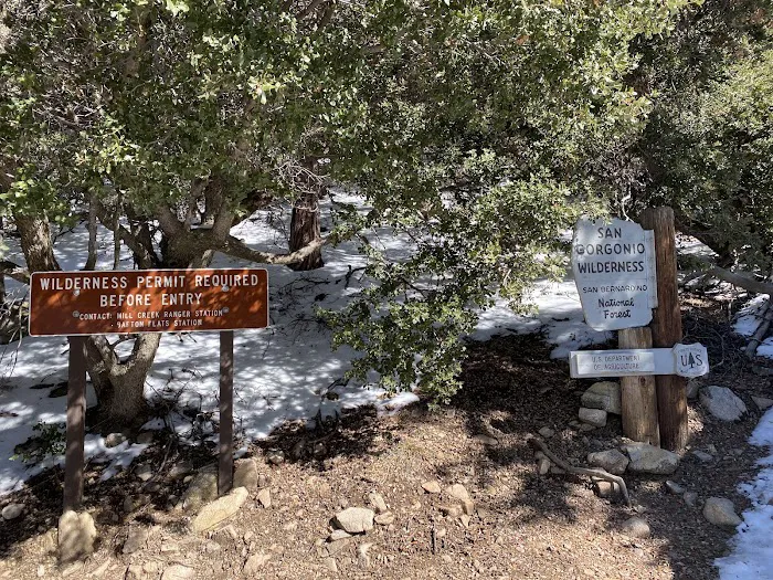 Vivian Creek Camp Picture 10