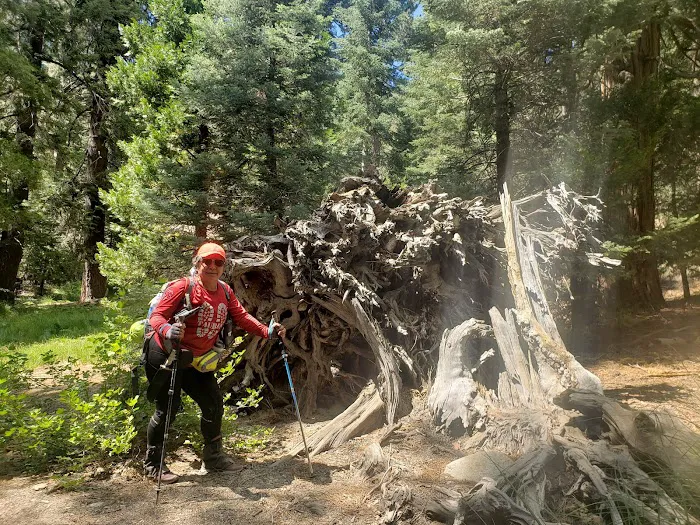 Vivian Creek Camp Picture 8
