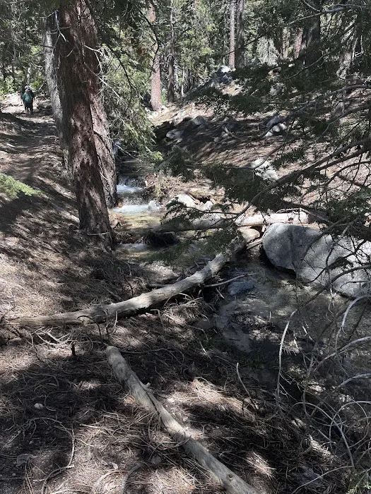 Halfway Camp Picture 10