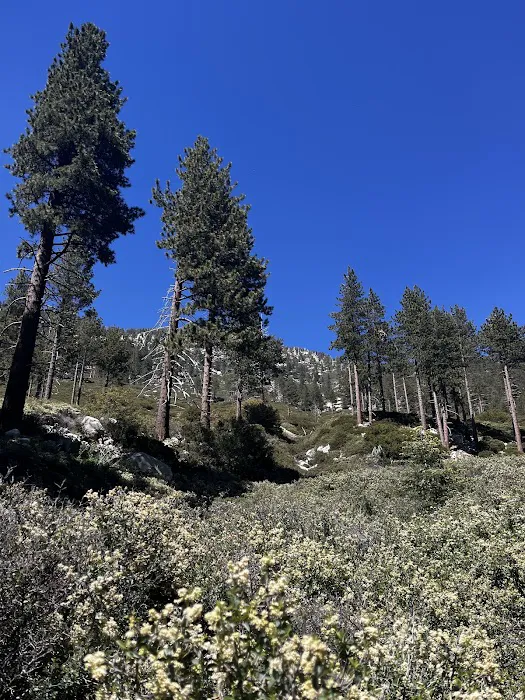 Halfway Camp Picture 2