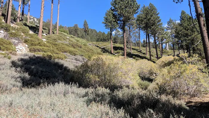Halfway Camp Picture 6