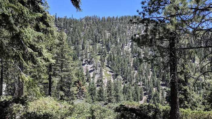 Saxton Camp Picture 1